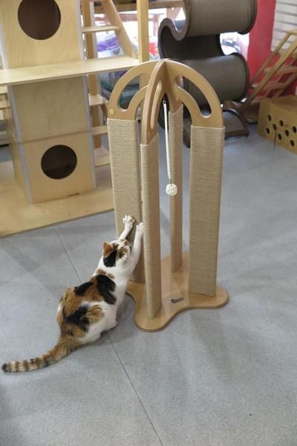 Rascador torre arqueada para gatos