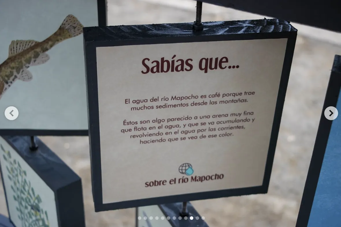Detalle de acabados en madera noble
